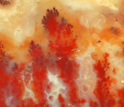 Carey Plume Agate