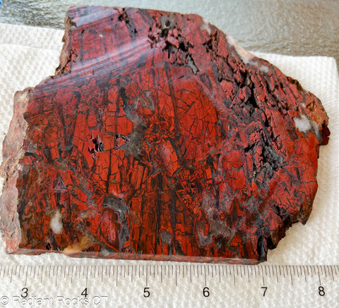 African Painted Valley Jasper "Tabu Tabu" Lapidary Slab 15.4 Oz (445 grams)