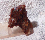 Carey Plume Agate 3.2 oz Lapidary rough (92 grams) - radiantrocksct