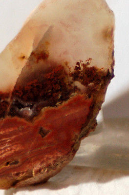 Carey Plume Agate 0.6 oz Lapidary  cab slab good plume (18 grams) - radiantrocksct