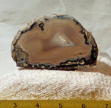 Las Choyas Coconut Geode BlueGrey Chalcedony slab 2.8oz (79 gram) crystal center - radiantrocksct
