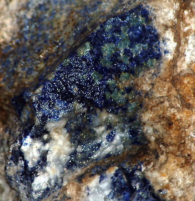 Russian Lapis Lazuli lapidary rough 7.5 lbs Cut some slabs and Cabochons - radiantrocksct