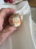 Brazilian Banded Agate rough ~10.6 oz (300 grams)