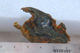 Indonesian Marcasite Agate lapidary slab 4.2 ounces (120 grams).