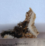 Lost Ridge Agate&nbsp; lapidary slab 3.2 oz (95 gram)