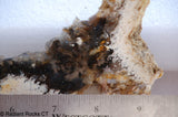Lost Ridge Agate&nbsp; lapidary slab 3.2 oz (95 gram)
