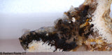 Lost Ridge Agate&nbsp; lapidary slab 3.2 oz (95 gram)