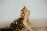 Lost Ridge Agate&nbsp; lapidary slab 3.2 oz (95 gram)