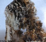 Lost Ridge Agate  lapidary slab 4.4 oz
