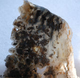 Lost Ridge Agate  lapidary slab 4.4 oz