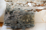 Madagascar Ocean Jasper 8.0 oz (225 grams) Lapidary Cabochon slab.