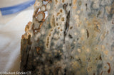 Madagascar Ocean Jasper Lapidary Cabochon slab - Radiant Rocks CT