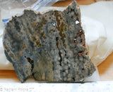 Madagascar  Ocean Jasper Lapidary Slab - Radiant Rocks CT