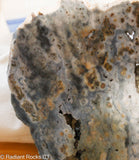 Madagascar  Ocean Jasper Lapidary Slab - Radiant Rocks CT