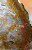 Maury Mountain Moss Agate Lapidary slab weighing  19 oz (545 grams) .