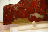 Radiant Rocks CT - Tabu Tabu Painted Valley Jasper Slab