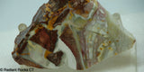 Willow Creek Porcelain Jasper Lapidary Slab  - Radiant Rocks CT