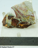 Willow Creek Porcelain Jasper Lapidary Slab  - Radiant Rocks CT