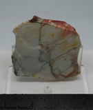 Willow Creek Porcelain Jasper lapidary slab - Radiant Rocks CT