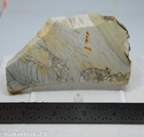 Willow Creek Porcelain Jasper Lapidary Slab - Radiant Rocks CT