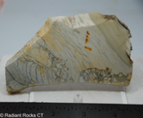 Willow Creek Porcelain Jasper Lapidary Slab - Radiant Rocks CT