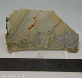 Willow Creek Porcelain Jasper Lapidary Slab - Radiant Rocks CT