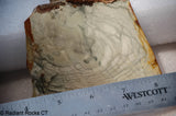Willow Creek Porcelain Jasper Lapidary Slab  6 oz (175 grams)