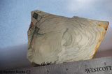 Willow Creek Porcelain Jasper Lapidary Slab  6 oz (175 grams)
