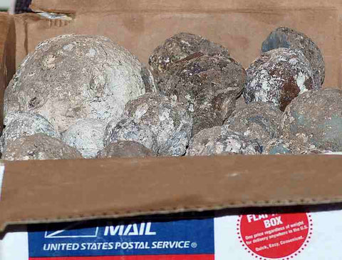 Las Choyas Solid Coconut Geodes 24 pounds with 1 LARGE  Geode - radiantrocksct