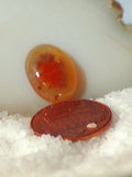 Carey Plume Agate Oval Cabochon 5 carats - radiantrocksct