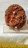 Piranha Brazilian banded Agate rough ~12.6oz - windchimes, sun catcher (357 gms) - radiantrocksct