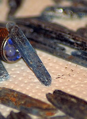 Electric Blue Zimbabwe Kyanite crystals 1 lb 5.4 oz lapidary rough (607 grams) - radiantrocksct