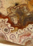 Red Crazy Lace Agate Cabochon 170.5 carats - radiantrocksct