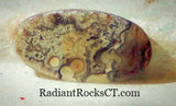 Red Crazy Lace Agate Cabochon 17 carats - radiantrocksct