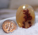 Carey Plume Agate Oval Cabochon 19 carats - radiantrocksct