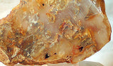 Graveyard Point Plume Agate16.4oz (465 grams) lapidary slab Regency Rose. - radiantrocksct