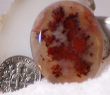 Stunning Carey Plume Agate Oval Cabochon 32.5 carats - radiantrocksct