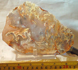 Graveyard Point Plume Agate16.4oz (465 grams) lapidary slab Regency Rose. - radiantrocksct