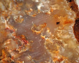 Graveyard Point Plume Agate16.4oz (465 grams) lapidary slab Regency Rose. - radiantrocksct