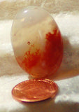 Carey Plume Agate Oval Cabochon 30 carats - radiantrocksct