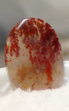 Carey Plume Agate Oval Cabochon 21.5 carats - radiantrocksct
