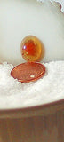 Carey Plume Agate Oval Cabochon 5 carats - radiantrocksct