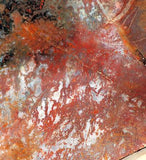 Moroccan Jasper Agate 2.5lb  lapidary slab  (1162 grams) - radiantrocksct