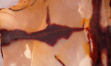 Australian Mookaite Jasper Lapidary slab 7.6 oz (215 gram) - radiantrocksct
