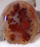 Stunning Carey Plume Agate Oval Cabochon 32.5 carats - radiantrocksct