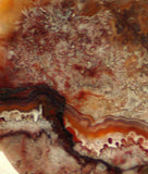 Red Crazy Lace Agate Cabochon 81 carats - radiantrocksct