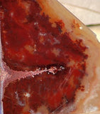 Carey Plume Agate  Lapidary Display collection Butterfly'd slab pair - radiantrocksct