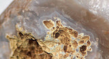 New Mexico Crystal Snowball quartz crystal w/ White banding 14.4oz - radiantrocksct