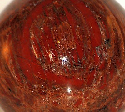 Petrified Wood Sphere 2.5 lbs 3.7" diam.  Great colors and grain - radiantrocksct