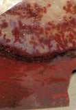 Carey Plume Agate 0.8 oz Lapidary  slab - radiantrocksct